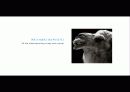 The Blue Day Book-누구에게나 우울한 날은 있다  인생에 삶에 대한 고찰 46페이지