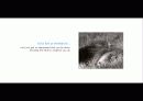 The Blue Day Book-누구에게나 우울한 날은 있다  인생에 삶에 대한 고찰 48페이지