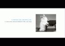 The Blue Day Book-누구에게나 우울한 날은 있다  인생에 삶에 대한 고찰 49페이지