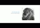 The Blue Day Book-누구에게나 우울한 날은 있다  인생에 삶에 대한 고찰 51페이지