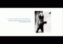 The Blue Day Book-누구에게나 우울한 날은 있다  인생에 삶에 대한 고찰 52페이지