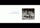 The Blue Day Book-누구에게나 우울한 날은 있다  인생에 삶에 대한 고찰 56페이지
