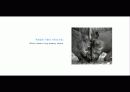 The Blue Day Book-누구에게나 우울한 날은 있다  인생에 삶에 대한 고찰 67페이지