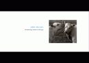 The Blue Day Book-누구에게나 우울한 날은 있다  인생에 삶에 대한 고찰 68페이지