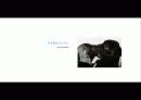 The Blue Day Book-누구에게나 우울한 날은 있다  인생에 삶에 대한 고찰 70페이지