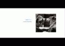 The Blue Day Book-누구에게나 우울한 날은 있다  인생에 삶에 대한 고찰 71페이지