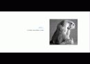 The Blue Day Book-누구에게나 우울한 날은 있다  인생에 삶에 대한 고찰 73페이지