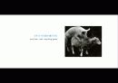 The Blue Day Book-누구에게나 우울한 날은 있다  인생에 삶에 대한 고찰 74페이지