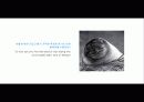 The Blue Day Book-누구에게나 우울한 날은 있다  인생에 삶에 대한 고찰 75페이지