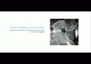 The Blue Day Book-누구에게나 우울한 날은 있다  인생에 삶에 대한 고찰 80페이지