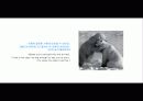 The Blue Day Book-누구에게나 우울한 날은 있다  인생에 삶에 대한 고찰 82페이지
