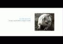The Blue Day Book-누구에게나 우울한 날은 있다  인생에 삶에 대한 고찰 86페이지