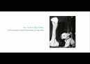 The Blue Day Book-누구에게나 우울한 날은 있다  인생에 삶에 대한 고찰 89페이지