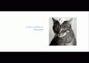 The Blue Day Book-누구에게나 우울한 날은 있다  인생에 삶에 대한 고찰 90페이지