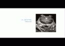 The Blue Day Book-누구에게나 우울한 날은 있다  인생에 삶에 대한 고찰 93페이지