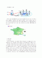 온 게임넷의 국제 마케팅 사례 분석 8페이지