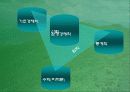 산림의 휴양기능 계량화에 관한 연구 17페이지