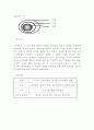 오리겐 연구 4페이지