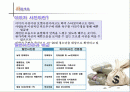 사업 분석의 실제-이미지 사진 전문점 사업성 분석 2페이지