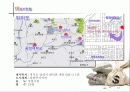 사업 분석의 실제-이미지 사진 전문점 사업성 분석 3페이지