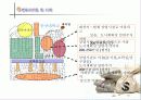 사업 분석의 실제-이미지 사진 전문점 사업성 분석 4페이지