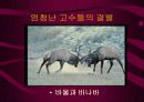 기독교의 이해와 분석-마가 복음 강해 8페이지