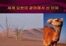 기독교의 이해와 분석-마가 복음 강해 10페이지