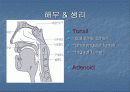 편도선 절제술 2페이지