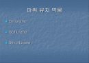 편도선 절제술 8페이지