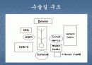 편도선 절제술 13페이지