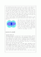 서양교육철학 13페이지