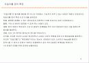 자일리톨 사례연구 9페이지