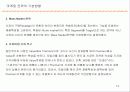 자일리톨 사례연구 13페이지