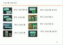 자일리톨 사례연구 24페이지