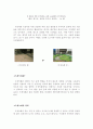 옥상정원(조경) 3페이지