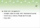 지능과 성격의 유전에 대한 연구 5페이지