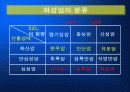 암석의 이해와 분석-생성과정 분류 및 물리 화학적 특징의이해 8페이지