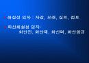 암석의 이해와 분석-생성과정 분류 및 물리 화학적 특징의이해 10페이지