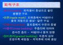 암석의 이해와 분석-생성과정 분류 및 물리 화학적 특징의이해 11페이지