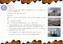 사무실의 설계와 인테리어 그리고 공간구성 및 배치에 대한 이해와 전문적 분석 24페이지