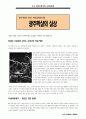 518 광주 민중 항쟁 16페이지