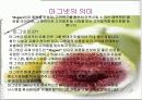 롯데마트 성공사례 4페이지
