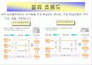 롯데마트 성공사례 10페이지