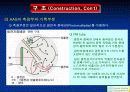 AAS(원자흡광광도법) 20페이지