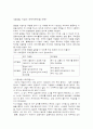 글로벌 기업의 국제자본조달 전략 2페이지