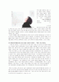 영화'러브레터'에 나타난 일본문학의 특징 9페이지