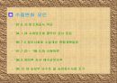 시화호 세미나 13페이지