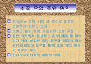 시화호 세미나 14페이지