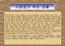 시화호 세미나 16페이지