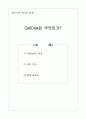 CellDisk 란 무엇인가 1페이지